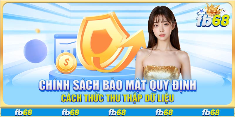 Chính sách bảo mật quy định cách thức thu thập dữ liệu